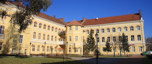 Office Debrecen Lion Office Center