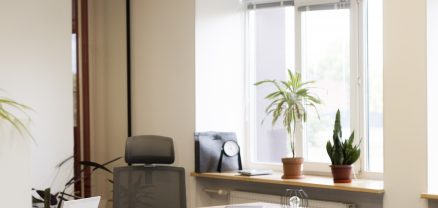  The Rise of Pet-Friendly Offices 