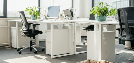  Discover the Benefits of Pet-Friendly Serviced Offices 